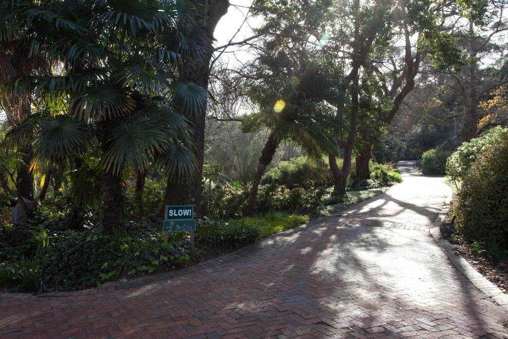 Viettz Suite Stellenbosch Dış mekan fotoğraf