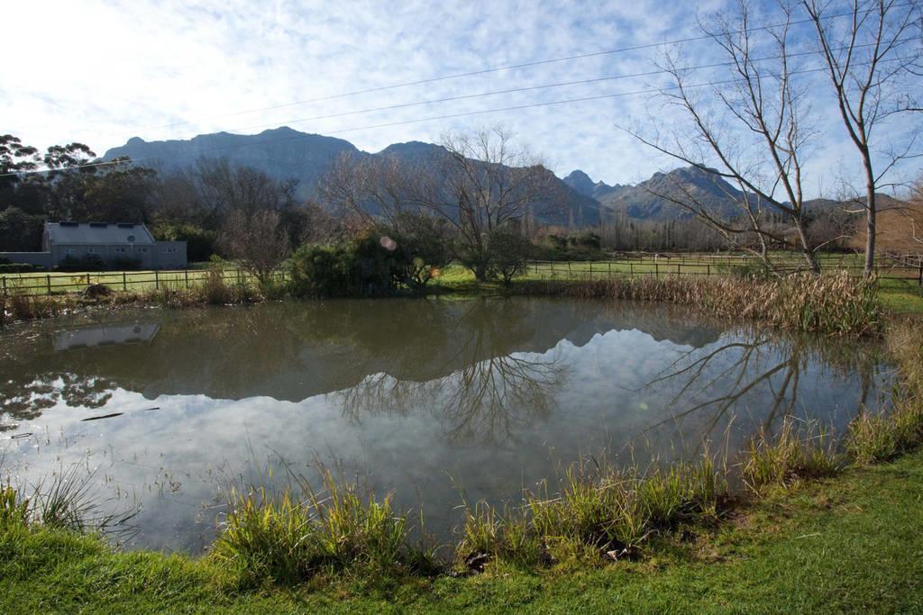 Viettz Suite Stellenbosch Dış mekan fotoğraf